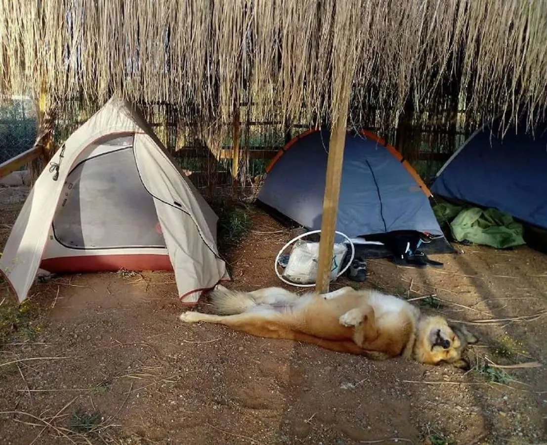 Chillsteps Hostel Fethiye Turkey